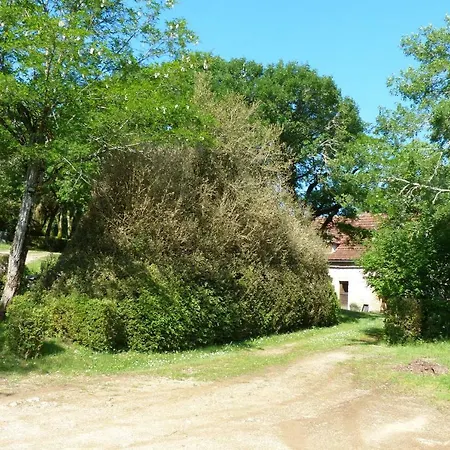 Barri-bas